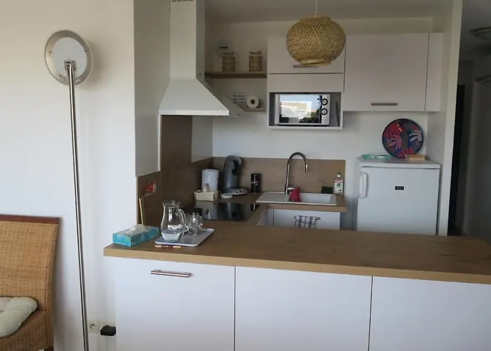 Appartement Solydays Mayflower Avec Piscine Le Grau-du-Roi