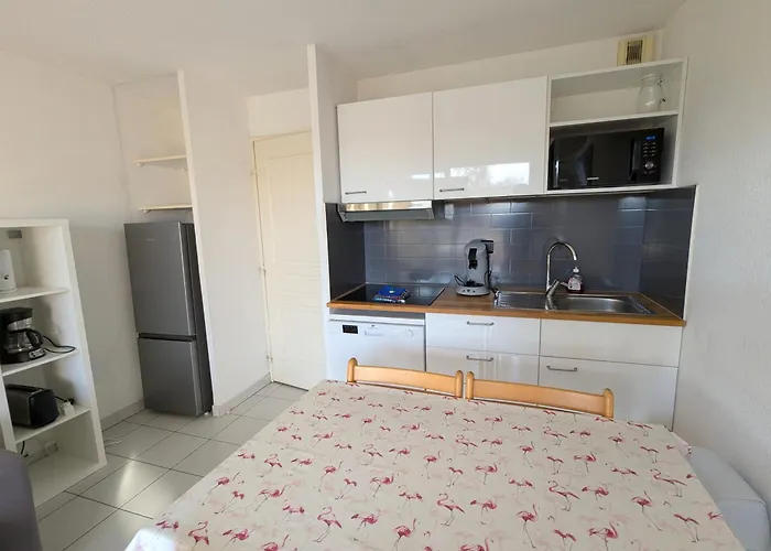 Appartement Solydays Mayflower Avec Piscine *